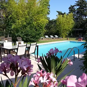 Mas La Provence L'Isle-sur-la-Sorgue